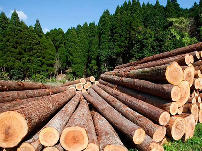 Atölye Faaliyetleri